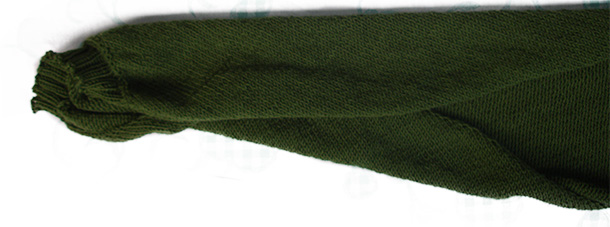 diploma