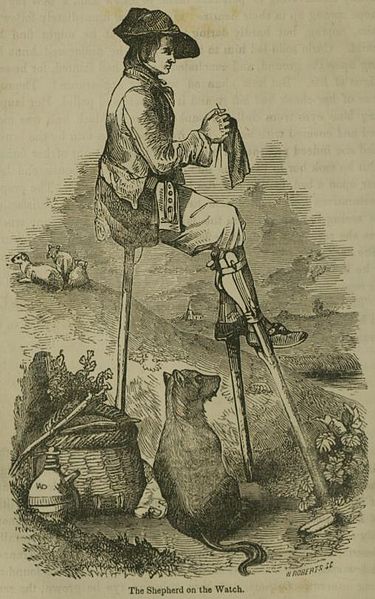 Shepherd Sitting Up
